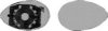 VAN WEZEL 0156838 Mirror Glass, outside mirror